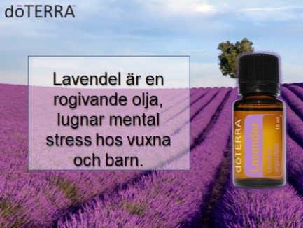 DoTERRAS Lavendel