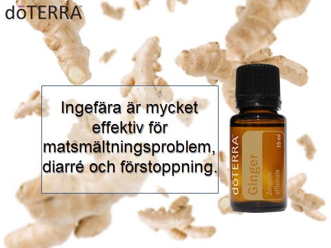 DoTERRAS Ingefära