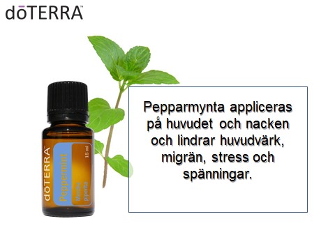 DoTERRAS Pepparmynta